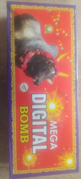 Mega Digital